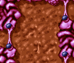 2: The Biomasse: Stage 3 - Tubular Worlds