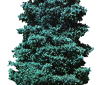 Misc. Scenery - Alien Cabal