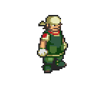 Fyrefox - Mega Man Battle Network 5