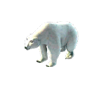 Polar Bear - Ice Age Village