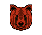 Grizzly - Animorphs