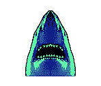Shark - Animorphs