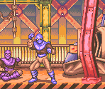 Metal Works - Teenage Mutant Ninja Turtles: Tournament Fighters