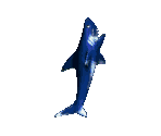 Shark - Toy Story