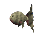 Fish - Prime Target