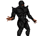 Ninja (Black) - Prime Target