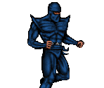 Ninja (Blue) - Prime Target