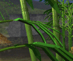 Adventure - Landscape - 3D Movie Maker