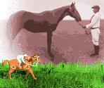 Horse Machine / Mechanical Horse - Rhythm Tengoku