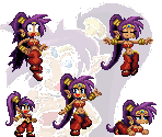 Shantae - Shantae Customs