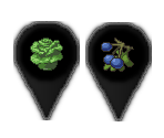 Foraging - Project Zomboid