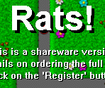 About Screen - Rats!