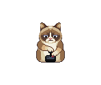 Atari Cat - Grumpy Cat's Worst Game Ever