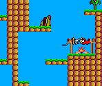 Level 05 - Férias Frustradas do Pica-Pau