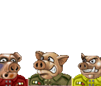 Pigs - Hogs of War