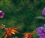 Level 01: Home Meadow - Kolibri