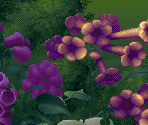 Level 02: Warning Signs - Kolibri