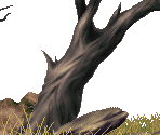 Level 10: Plains Infection - Kolibri