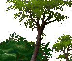 Level 17: Infected Forest - Kolibri