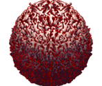 Legion - Vampire Survivors