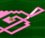 Minimaps (Double Team DS) - Mega Man Battle Network 5