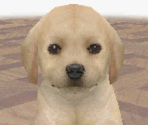 nintendogs