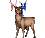 Carl - Gaia Online