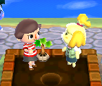 Animal Crossing: New Leaf - Nintendo Music