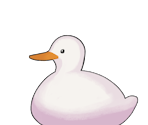 Duck - Alternate Universe Playbook