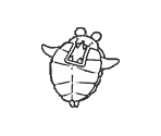 Square Bear / Turtle Bear - Kumanchu Royale