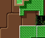 Field 37 - Umihara Kawase (JPN)