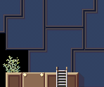 Field 41 - Umihara Kawase (JPN)