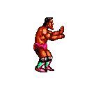 Inoba - Oonita Atsushi FMW (JPN)