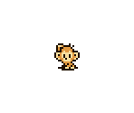 The Monkey - Survival Kids