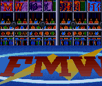Exploding Steel Cage - Oonita Atsushi FMW (JPN)