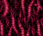 Stage 6: In Vivo - Gradius Galaxies