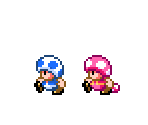 Toad & Toadette (SMW, SMB Move Set) - Mario Customs
