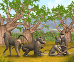 Olive Baboon - Zoo Tycoon