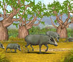 African Warthog - Zoo Tycoon
