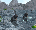 California Sea Lion - Zoo Tycoon