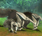 Giant Anteater - Zoo Tycoon