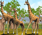 Giraffe - Zoo Tycoon