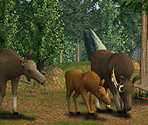 Moose - Zoo Tycoon
