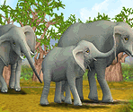 African Elephant - Zoo Tycoon