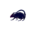 Rat - Toy Story 2