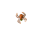 Spider - Toy Story 2