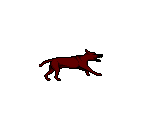 Hound - Targhan