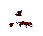 Animals - Targhan
