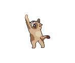 Scratchy Cat - Grumpy Cat's Worst Game Ever