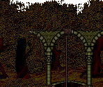 Forest - Targhan